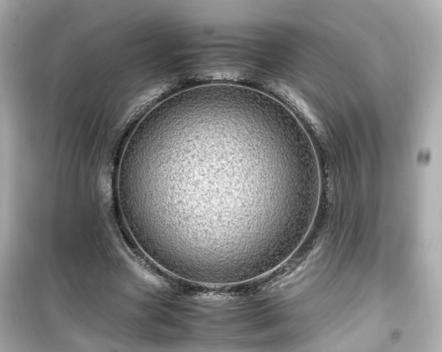 X0000099490537200805221340