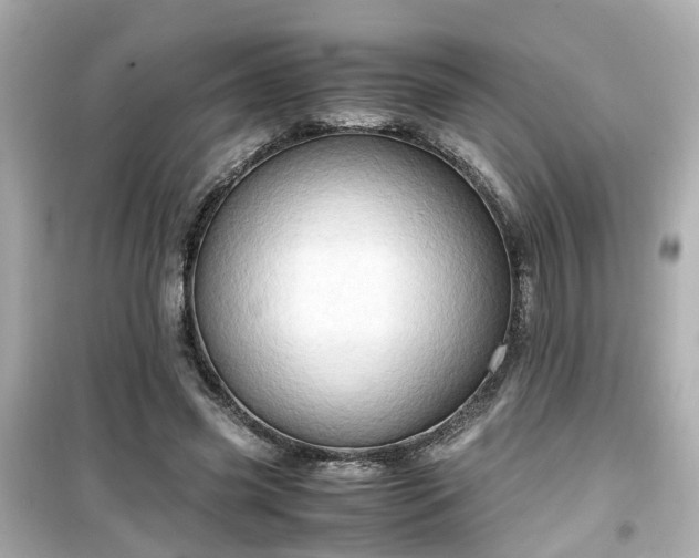 X0000099490541200805221340