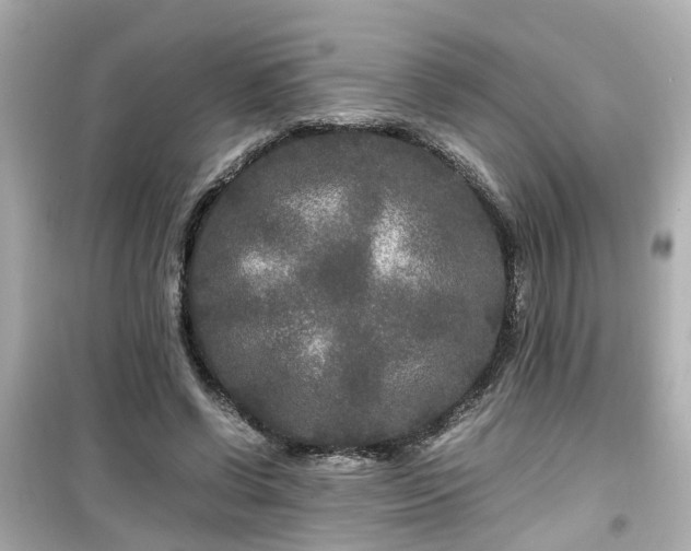 X0000099490542200805221340