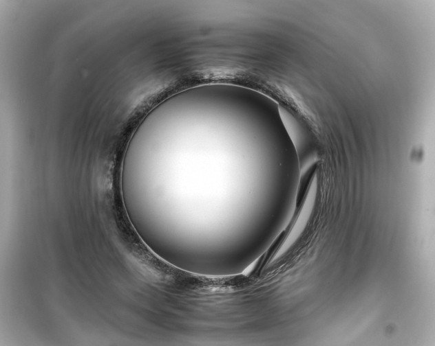 X0000099490543200805221340
