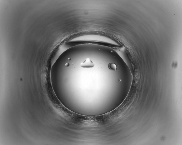 X0000099490544200805221340