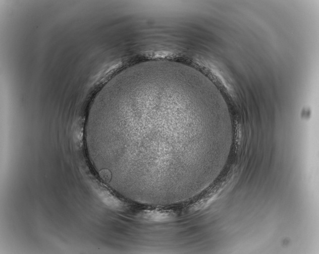 X0000099490545200805221340