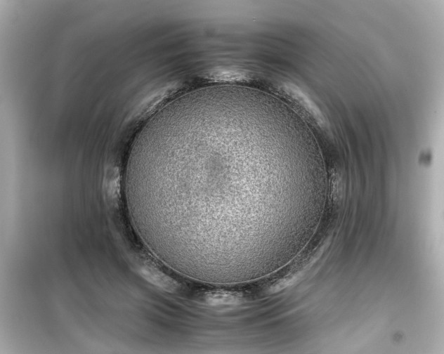 X0000099490549200805221340