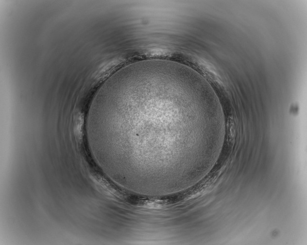 X0000099490550200805221340
