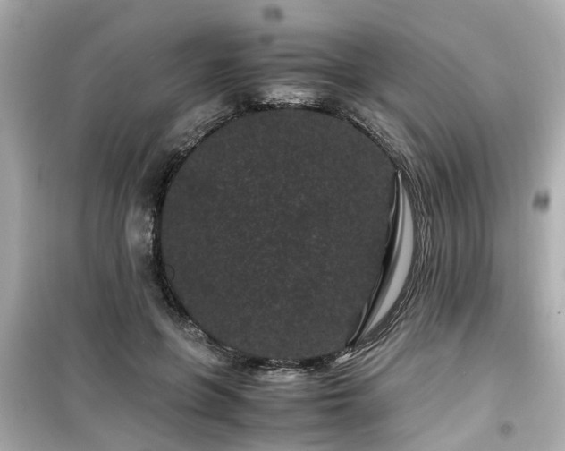X0000099490551200805221340