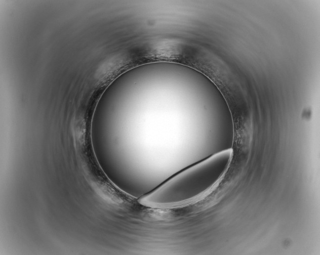 X0000099490552200805221340