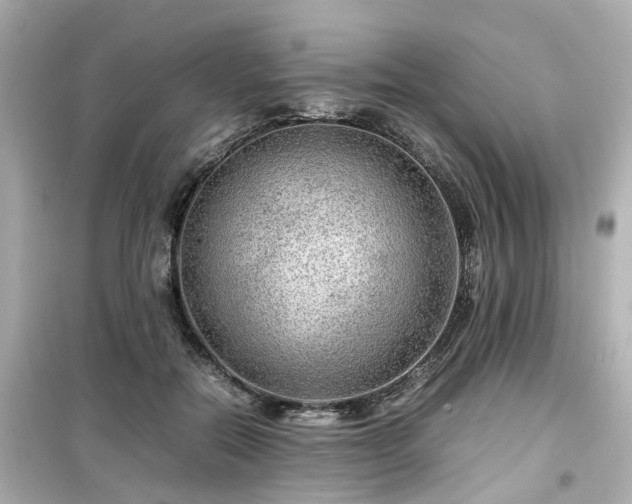 X0000099490554200805221340
