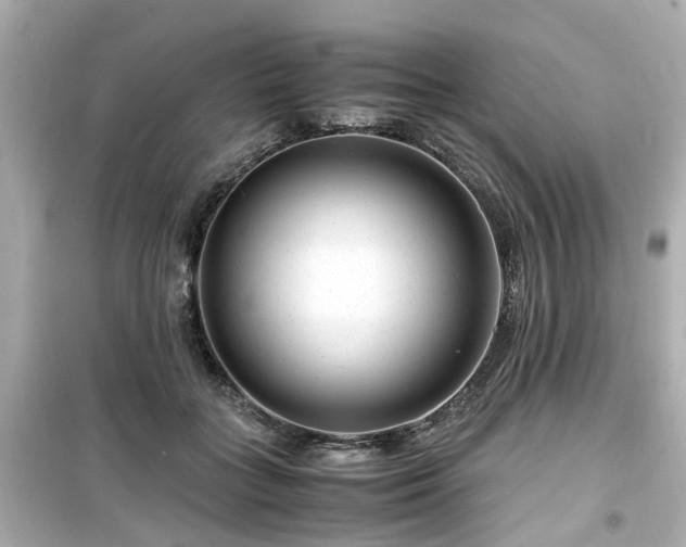 X0000099490555200805221340