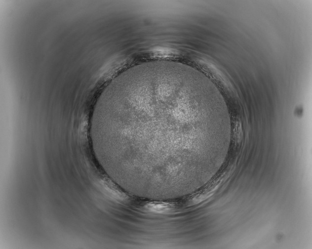 X0000099490557200805221340