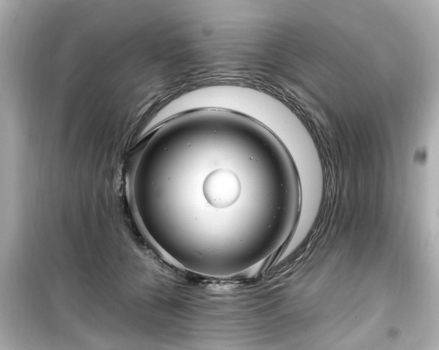 X0000099490560200805221340
