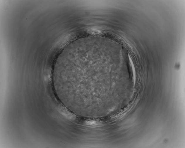 X0000099490561200805221340