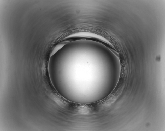 X0000099490562200805221340