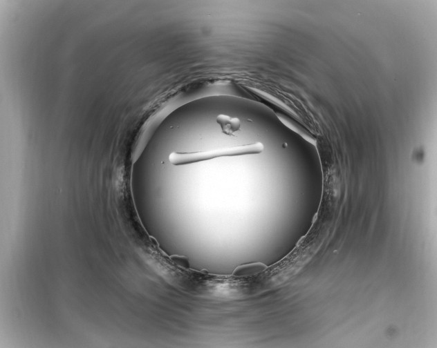 X0000099490564200805221340