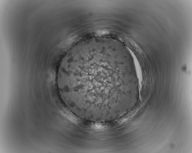 X0000099490565200805221340