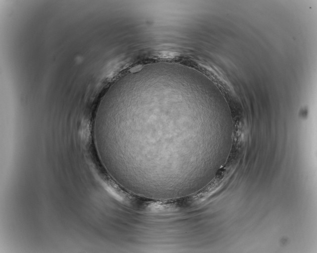 X0000099490568200805221341
