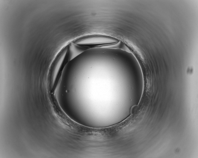 X0000099490580200805221340