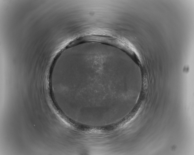 X0000099490581200805221340