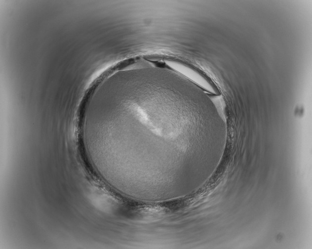 X0000099490583200805221340