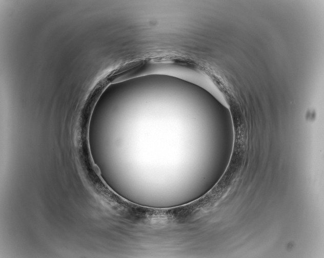 X0000099490587200805221340