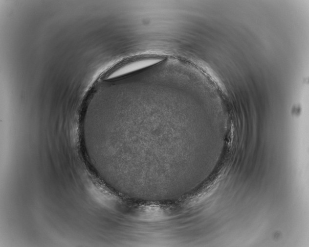 X0000099490588200805221340