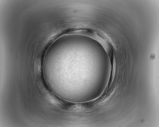 X0000099490589200805221340