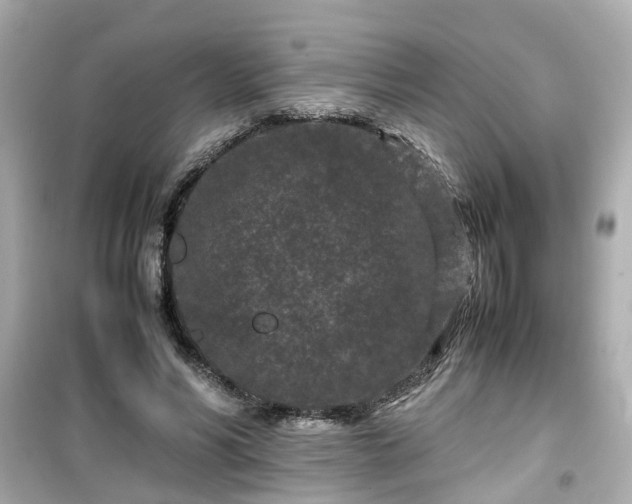 X0000099490590200805221340