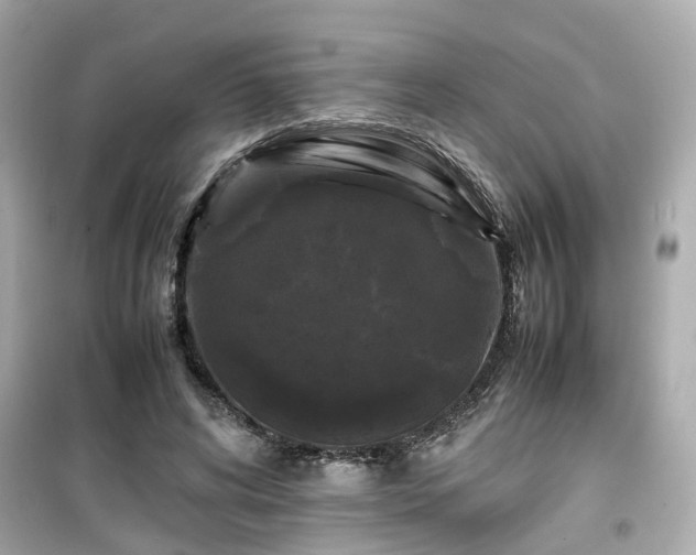 X0000099490592200805221340