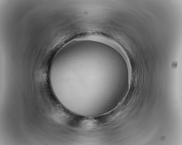 X0000099490595200805221340