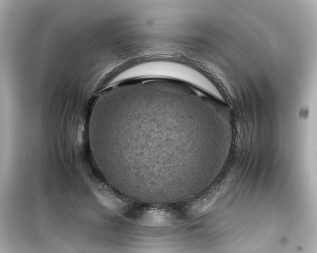 X0000099490596200805221340