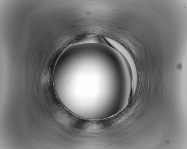 X0000099490597200805221340