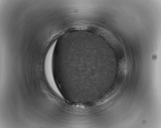 X0000099490600200805221340