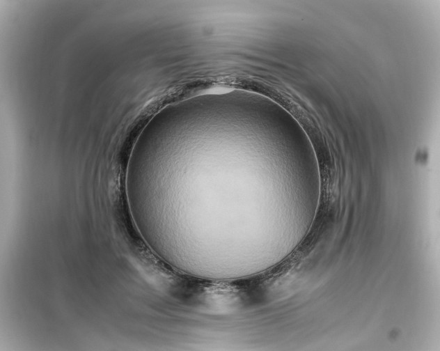 X0000099490603200805221340