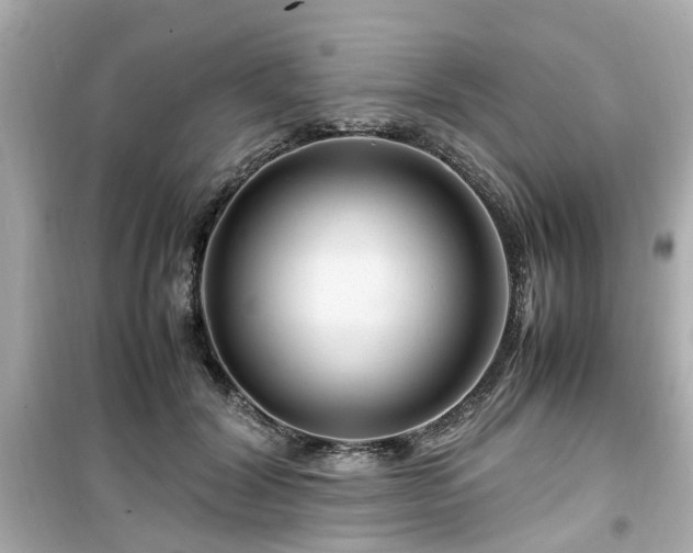 X0000099490604200805221340