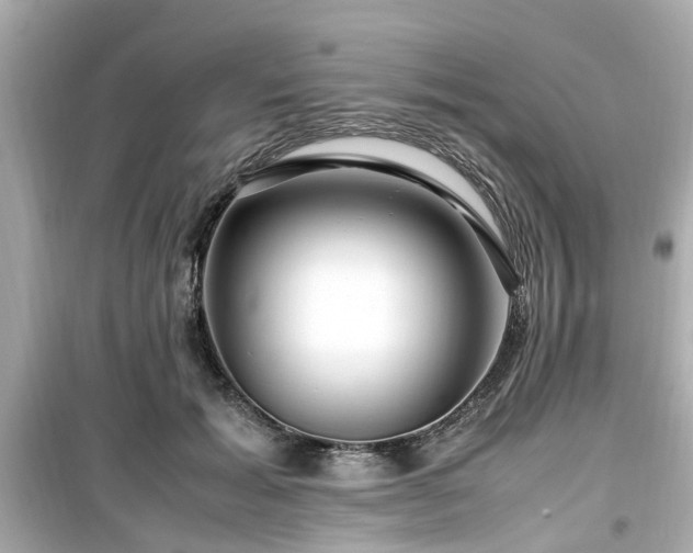X0000099490605200805221340