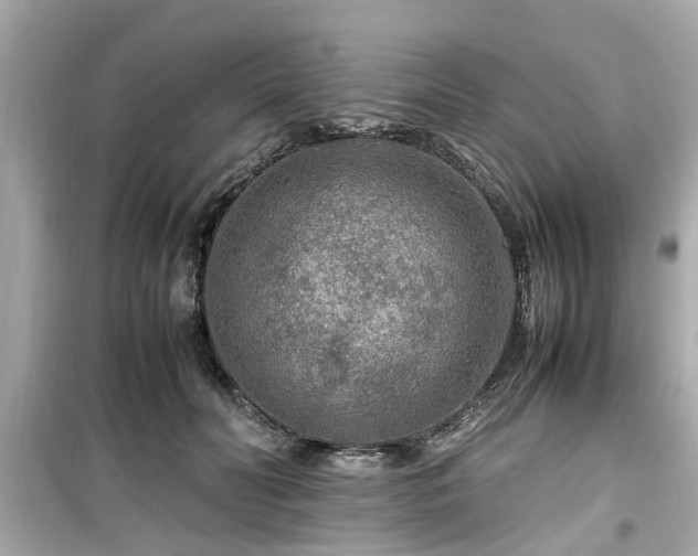 X0000099490606200805221340