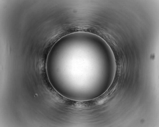 X0000099490608200805221340