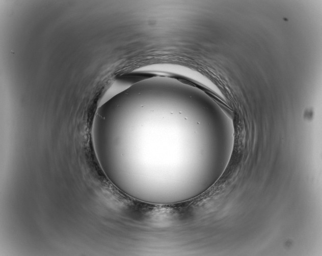 X0000099490609200805221340