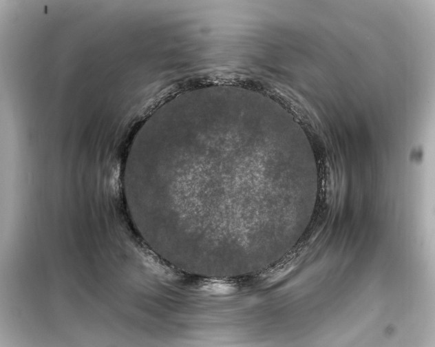 X0000099490610200805221340