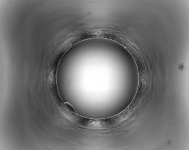 X0000099490611200805221340