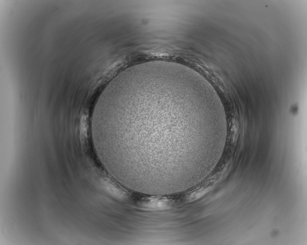 X0000099490612200805221340