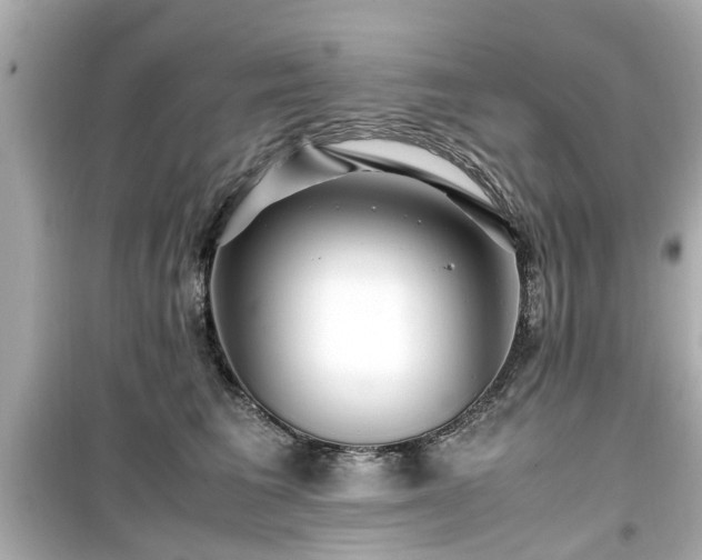 X0000099490613200805221340
