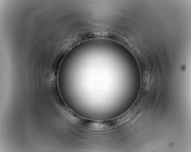 X0000099490614200805221340