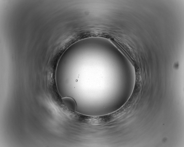 X0000099490615200805221340