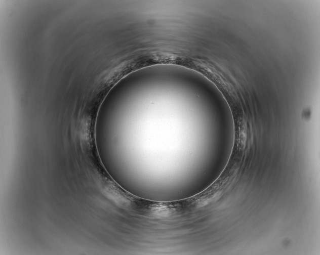 X0000099490616200805221340
