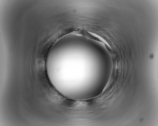 X0000099490617200805221340