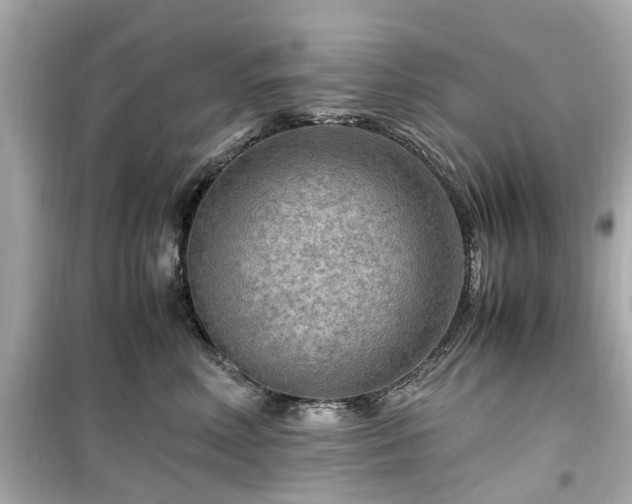 X0000099490618200805221340