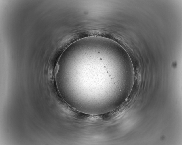 X0000099490619200805221339