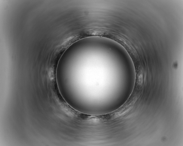 X0000099490620200805221339