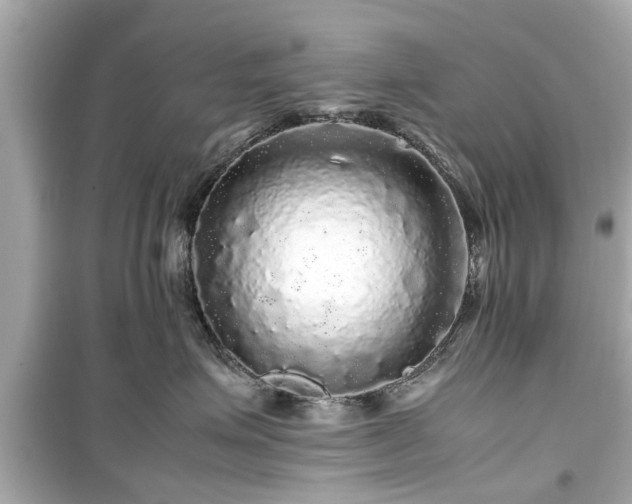 X0000099490623200805221339
