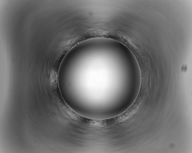 X0000099490624200805221339